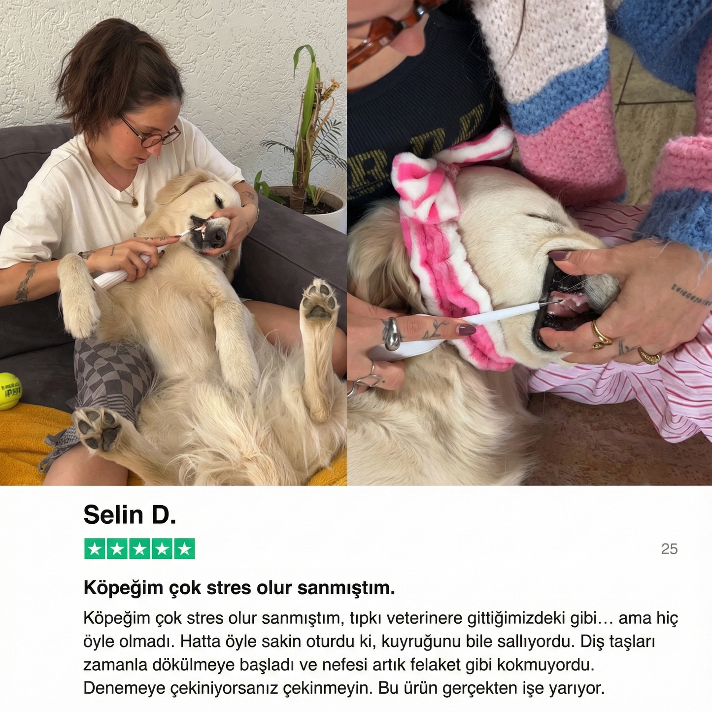 VetforCares Dental PRO - Yılbaşına Özel Aralık Ayı Boyunca 50% İNDİRİM