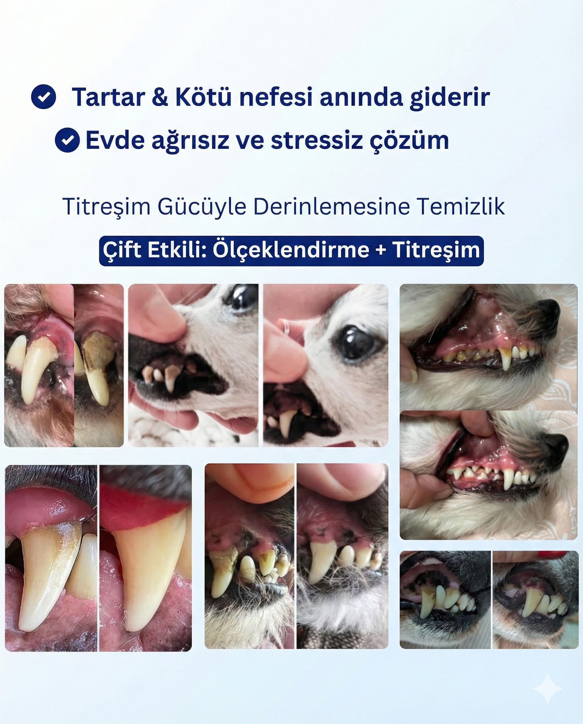 Gemini_Generated_Image_67yhsa67yhsa67yh.png__PID:7d56a487-9953-4a5a-85ec-741a12346b98