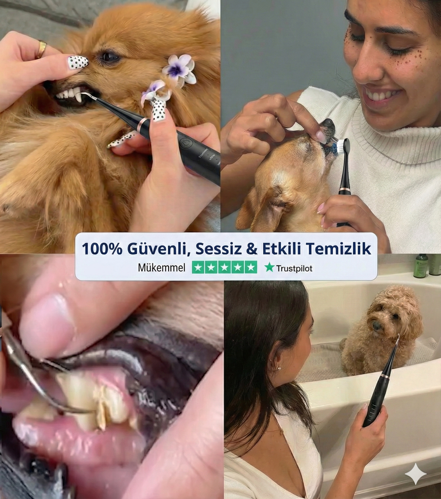 VetforCares Dental PRO - Yılbaşına Özel Aralık Ayı Boyunca 50% İNDİRİM